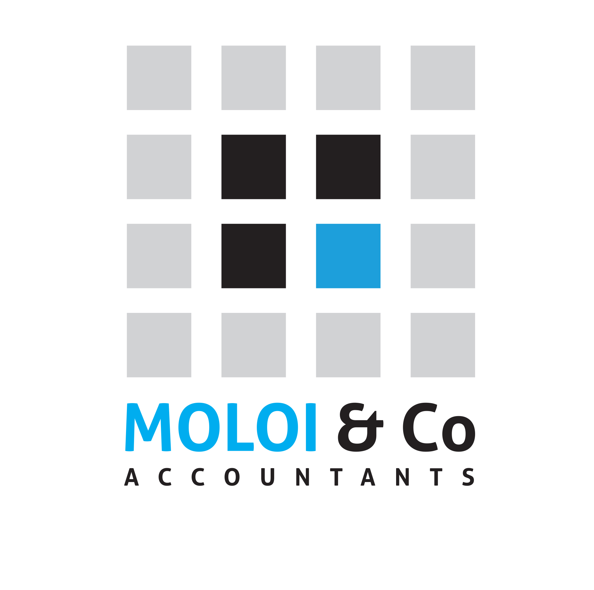 Moloi-Accounting-Logo-Final-3